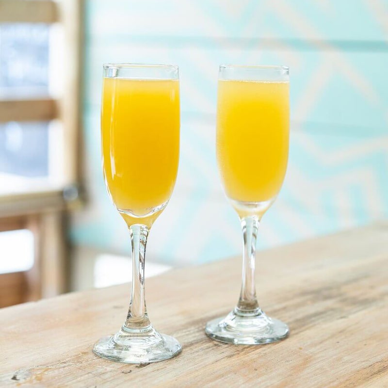Mimosa Mimosa